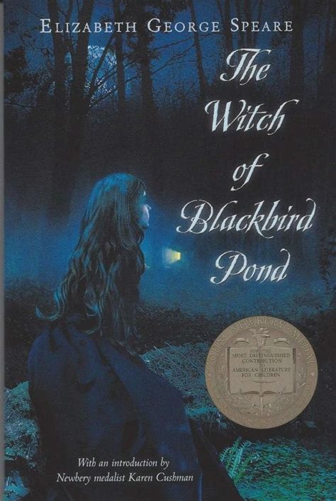 Embarking on a magical journey with 'The Witch of Blackbird Pond' audiobook